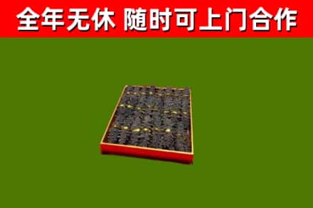德州回收海参